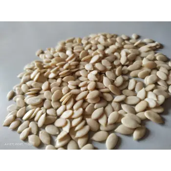 Natural Watermelon Kernel 
